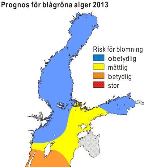 Sinileväennuste 2013